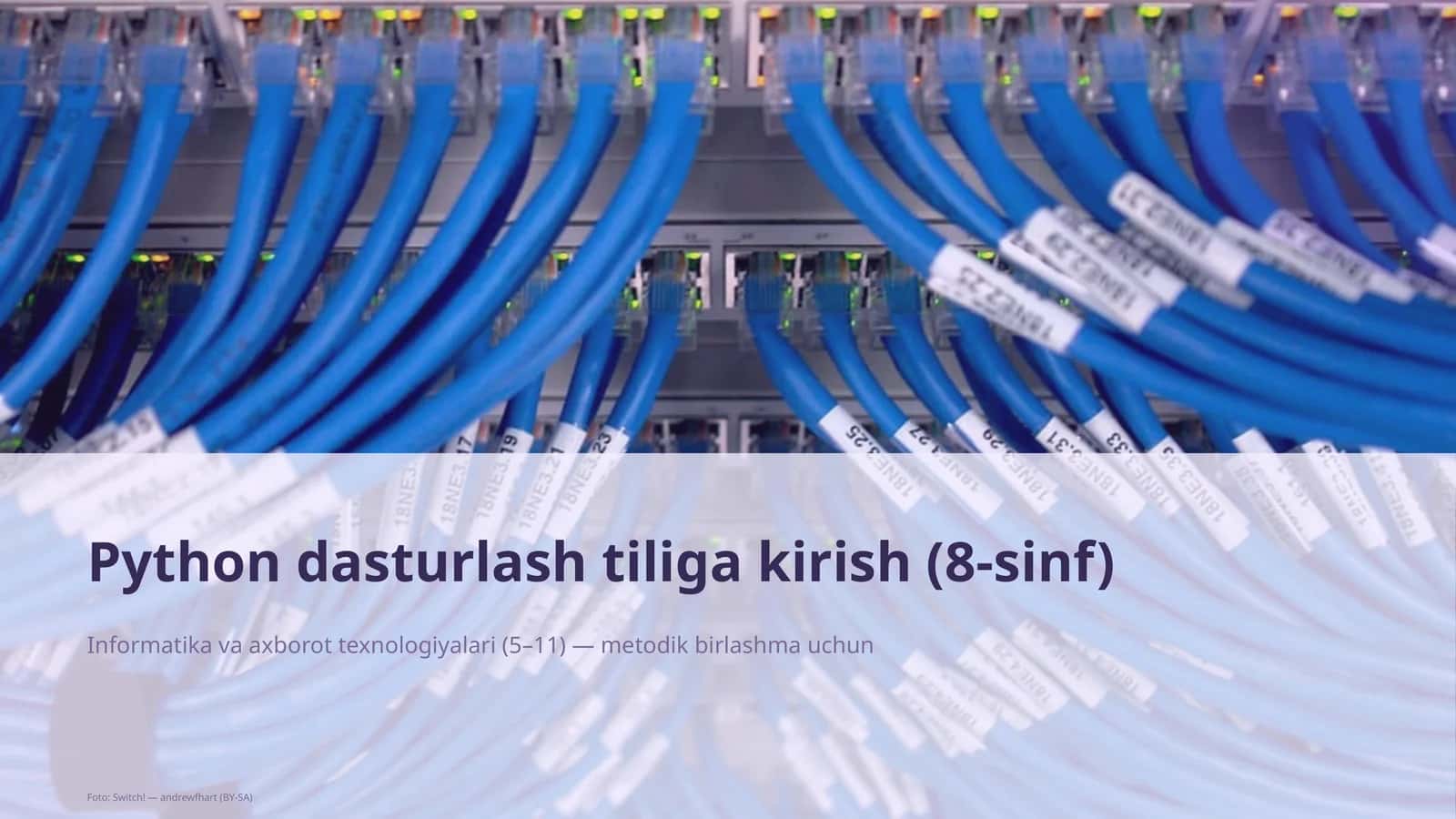 Python dasturlash tiliga kirish (8-sinf) 1