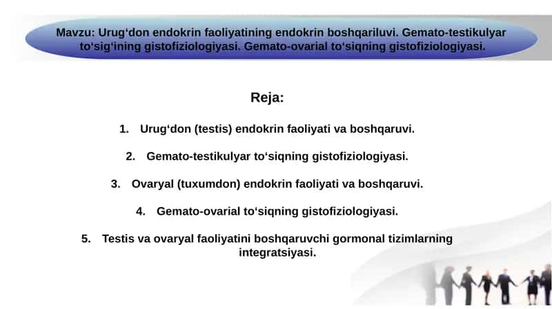 Urugʻdon endokrin faoliyatining endokrin boshqariluvi. Gemato-testikulyar  toʻsigʻining gistofiziologiyasi. Gemato-ovarial toʻsiqning gistofiziologiyasi 1