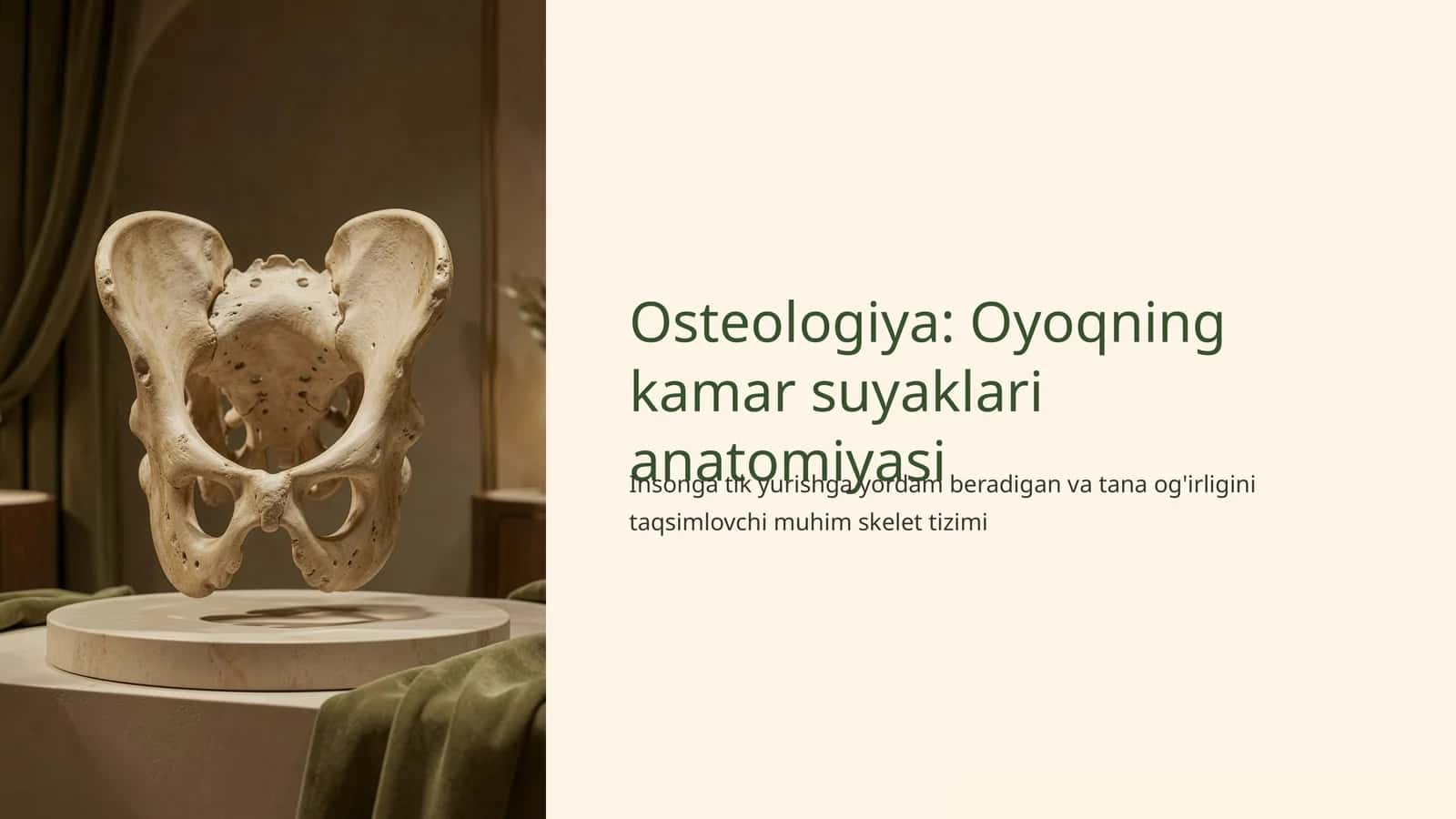 Osteologiya: Oyoqning kamar suyaklari anatomiyasi 1