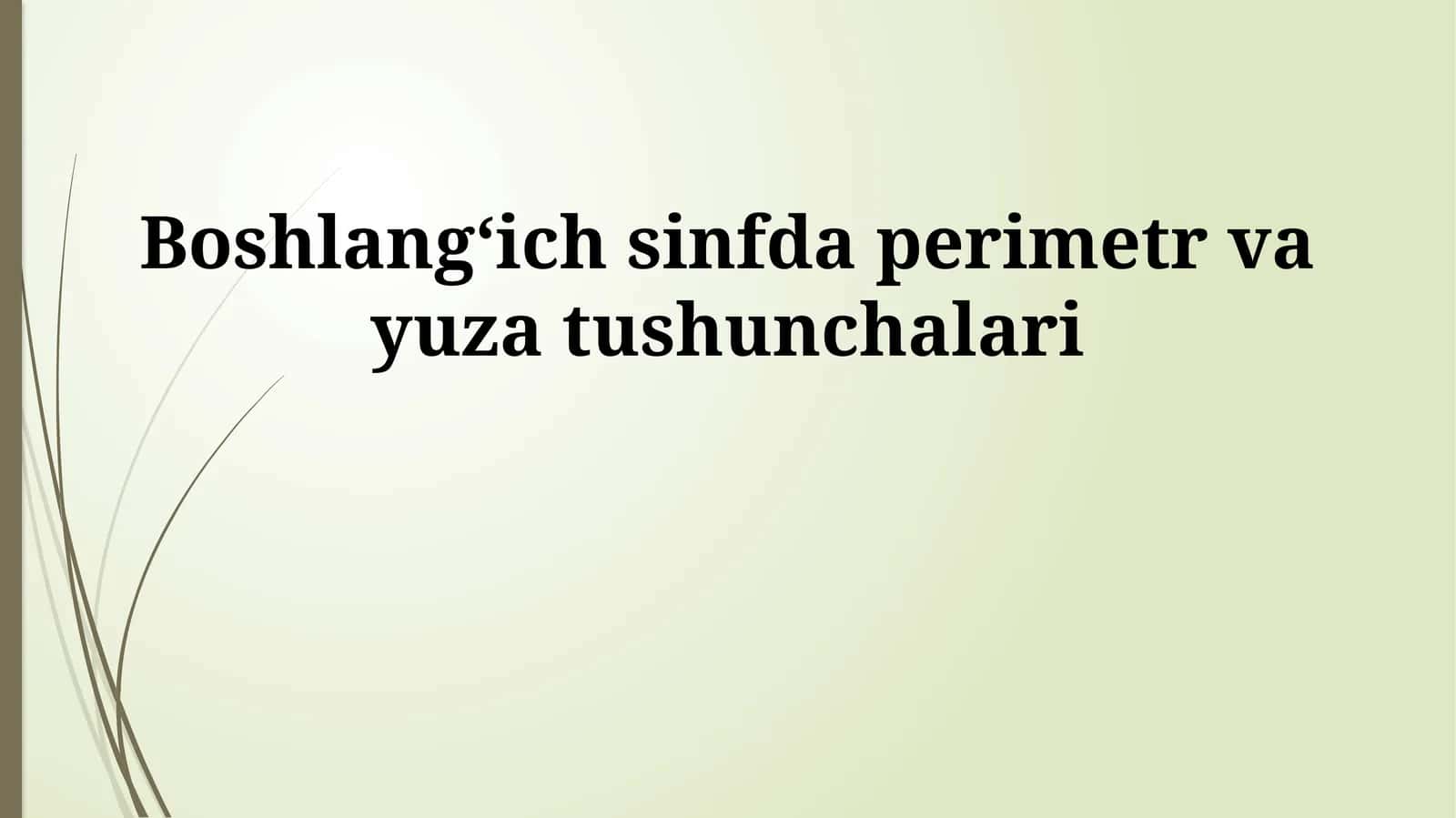 Boshlangʻich sinfda perimetr va yuza tushunchalari 1