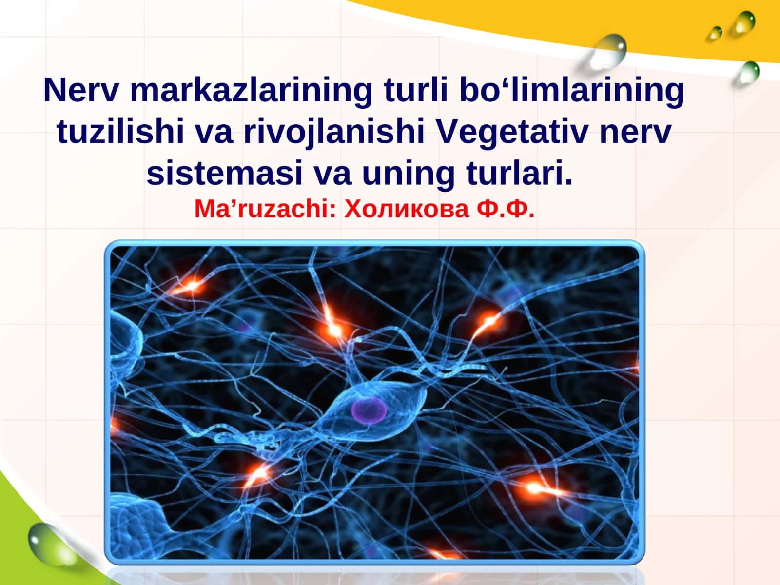 Nerv markazlarining turli bo‘limlarining tuzilishi va rivojlanishi Vegetativ nerv sistemasi va uning turlari 1