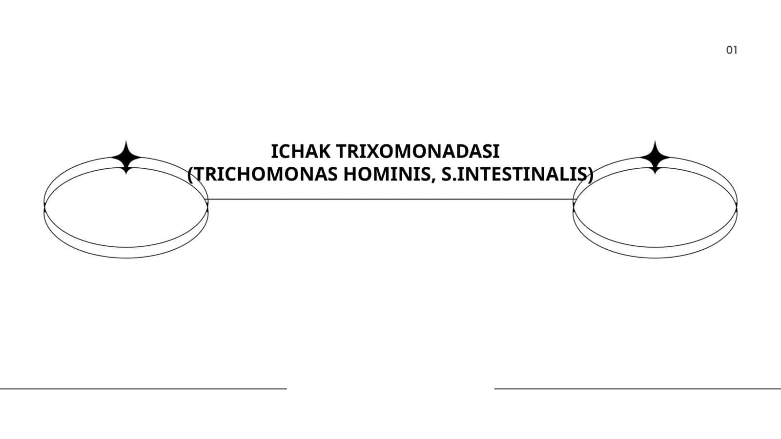 ICHAK TRIXOMONADASI 1