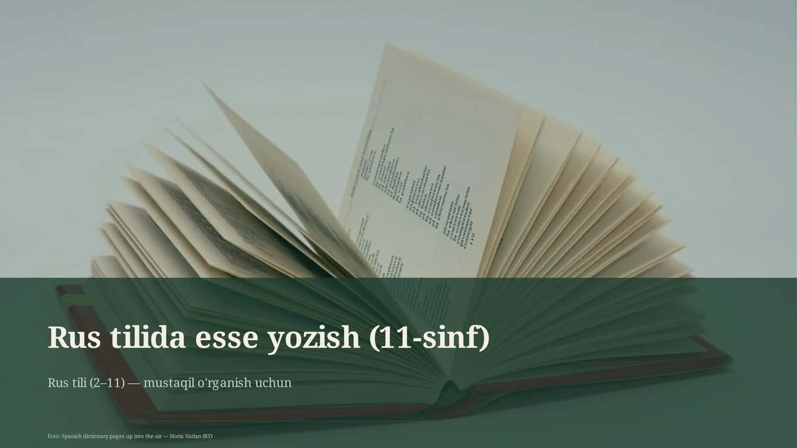 Rus tilida esse yozish (11-sinf) 1