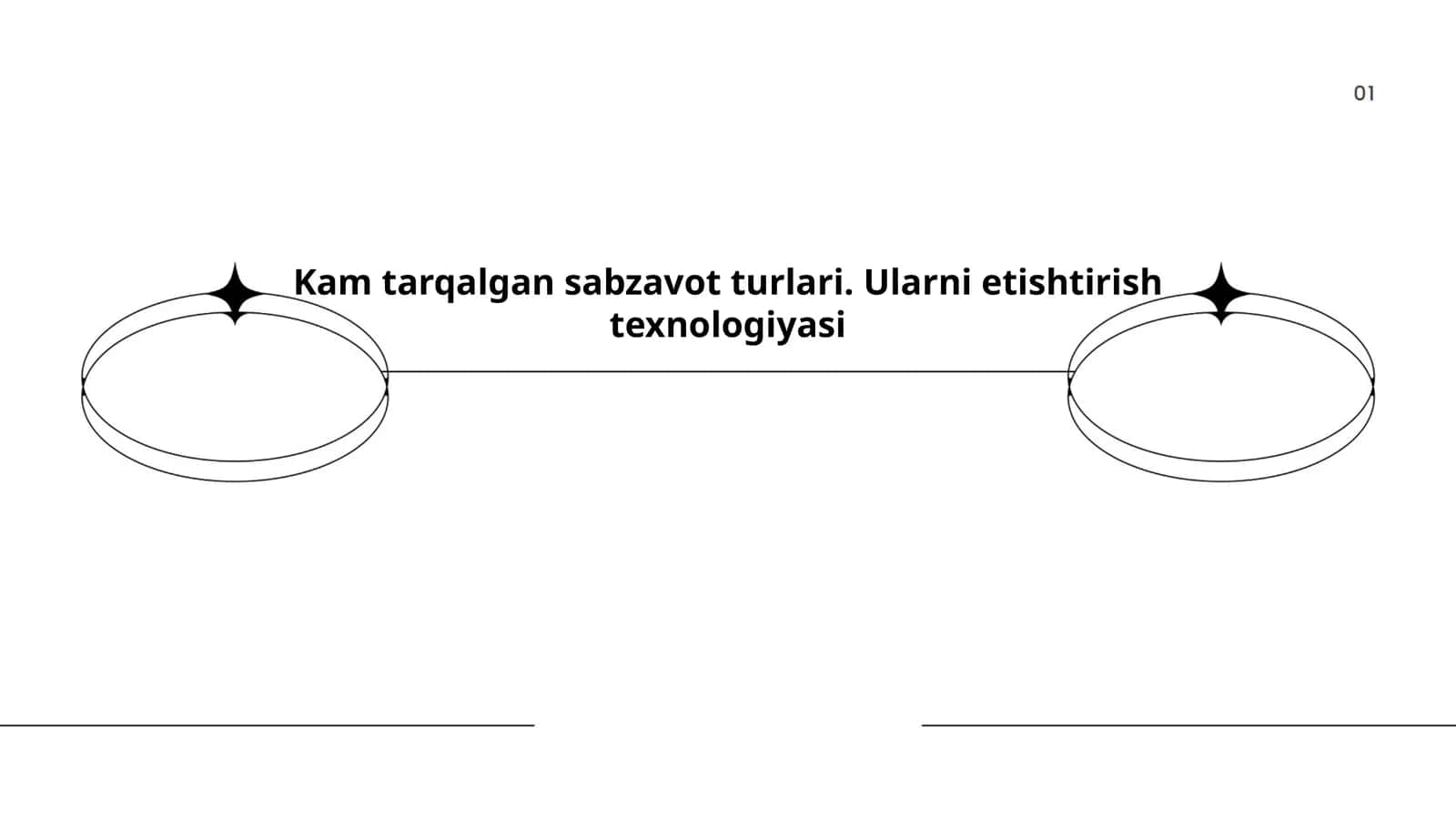 Kam tarqalgan sabzavot turlari. Ularni etishtirish texnologiyasi 1