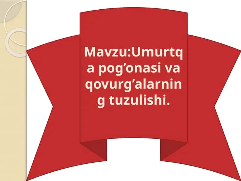 Umurtqa pog'onasi tuzulishi 1