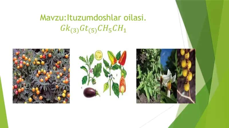 Ituzumdoshlar oilasi 1
