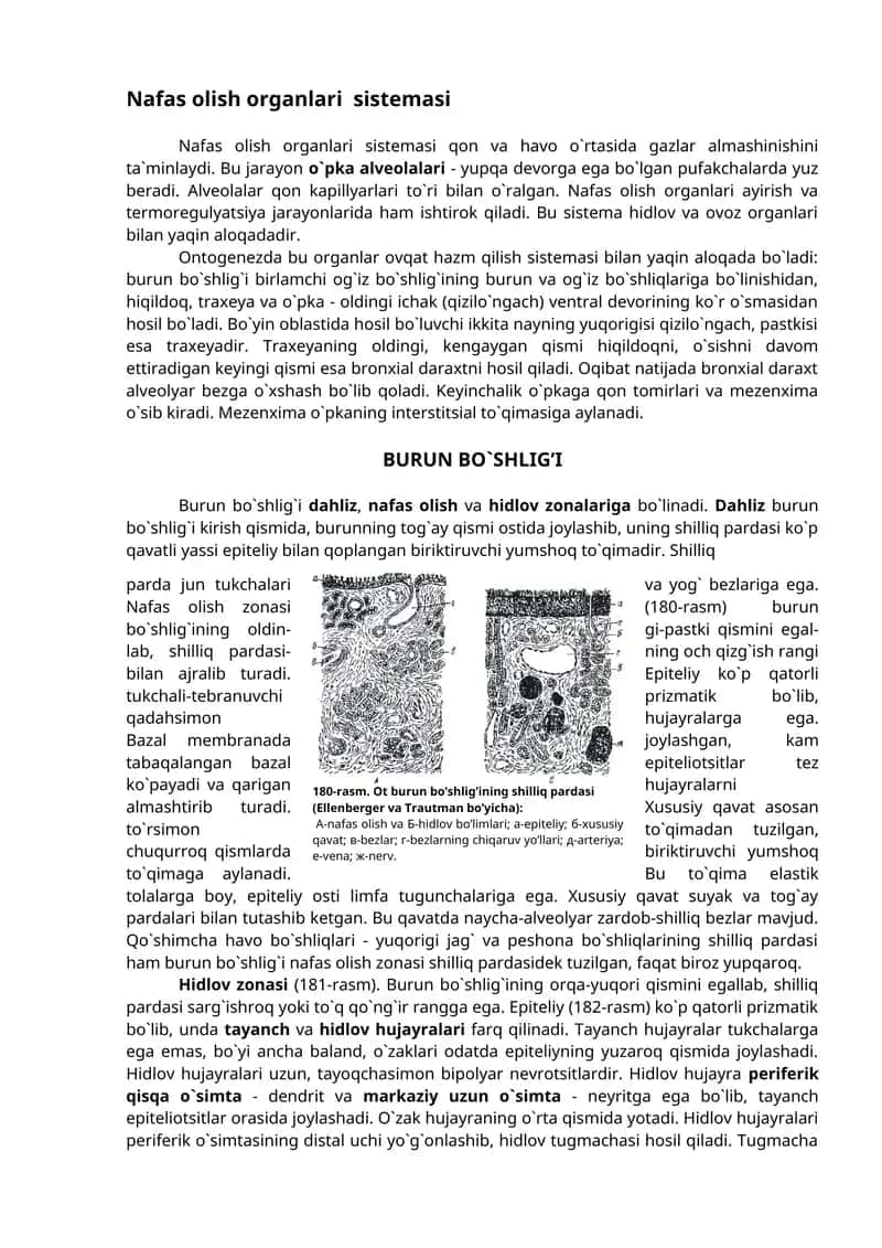 Nafas olish organlari sistemasi 1