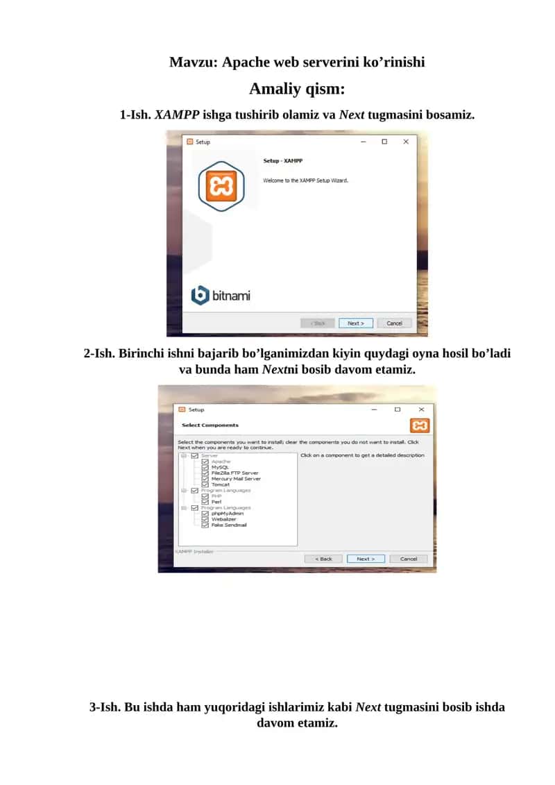 Apache web serverini ko’rinishi 1