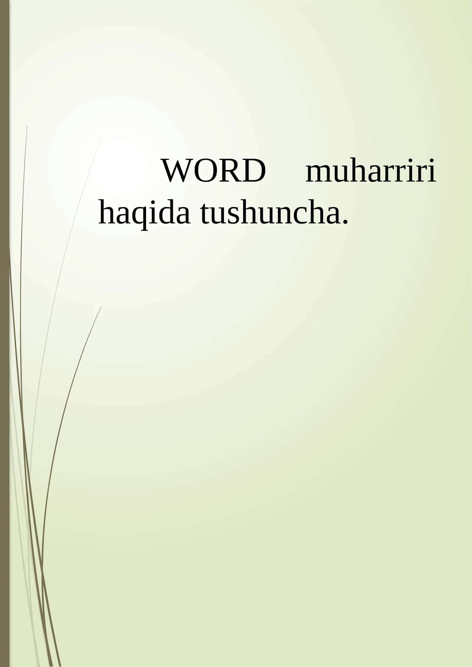 Microsoft Word 1