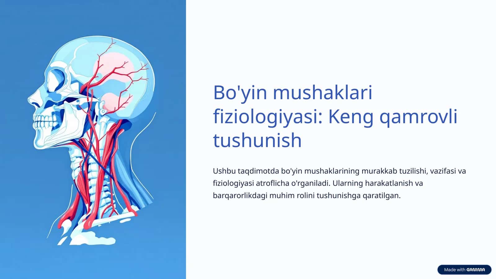 Bo'yin mushaklari fiziologiyasi: Keng qamrovli tushunish 1