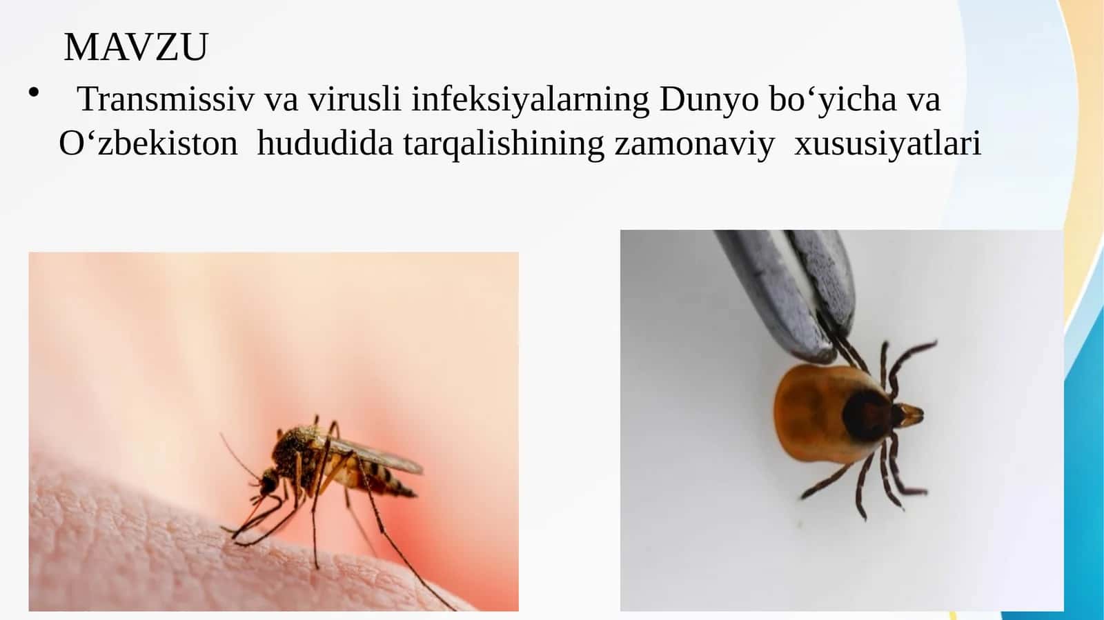 Transmissiv va virusli infeksiyalarning Dunyo boʻyicha va Oʻzbekiston  hududida tarqalishining zamonaviy  xususiyatlari 1