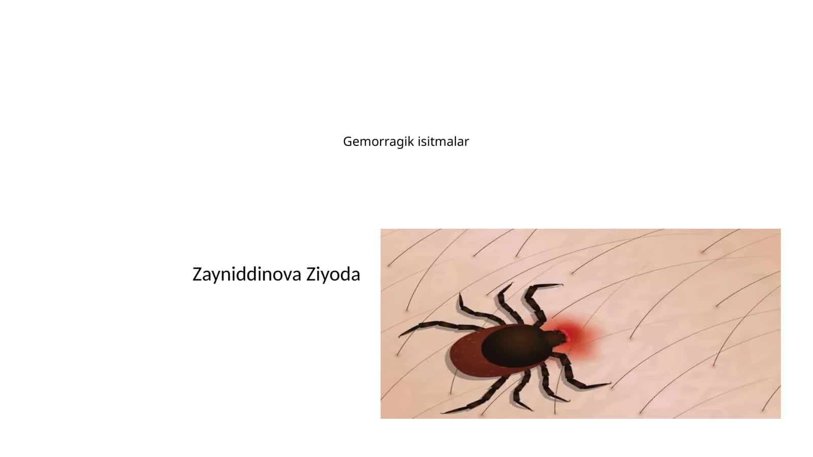 Gemorragik isitmalar 1