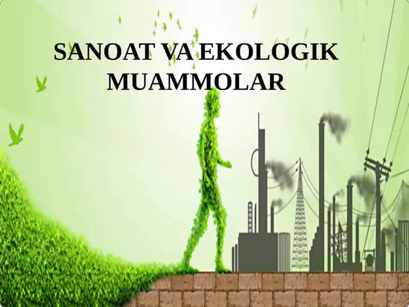 SANOAT VA EKOLOGIK MUAMMOLAR 1