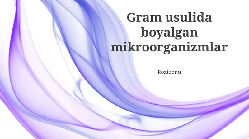 Gram usulida boyalgan mikroorganizmlar 1