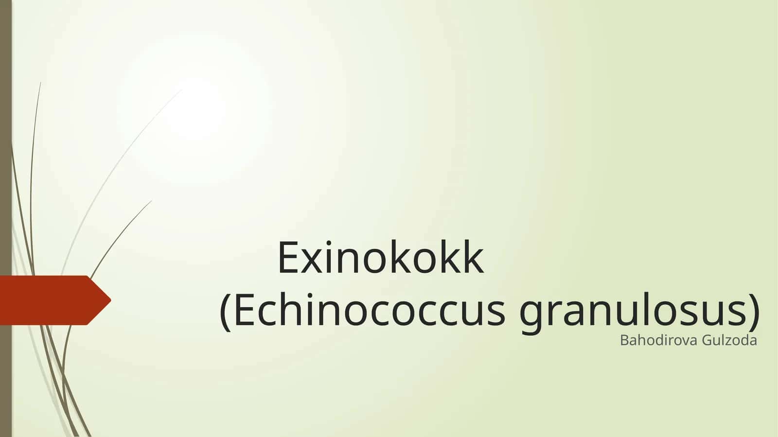 Exinokokk(Echinococcus granulosus) 1