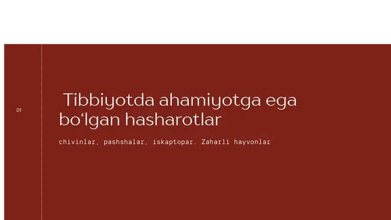 Chivin, pashsha, iskabtopar. Zararkunanda hasharotlar 1