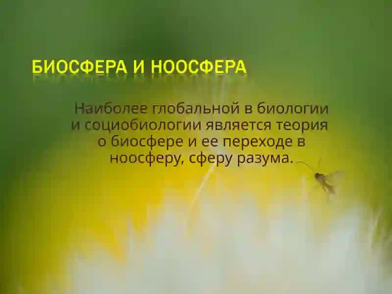 Биосфера