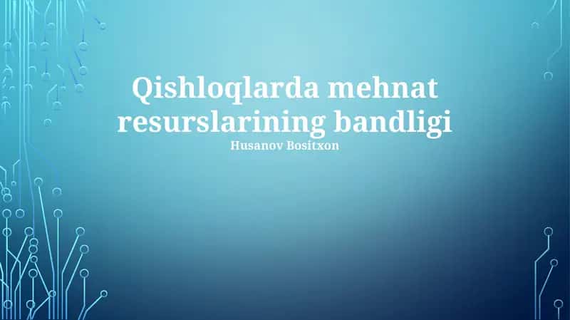 Qishloqlarda mehnat resurslarining bandligi 1