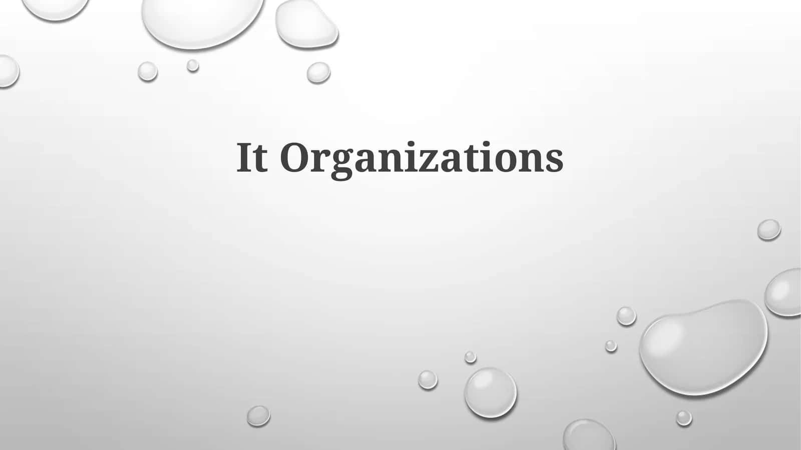IT Organizations 1