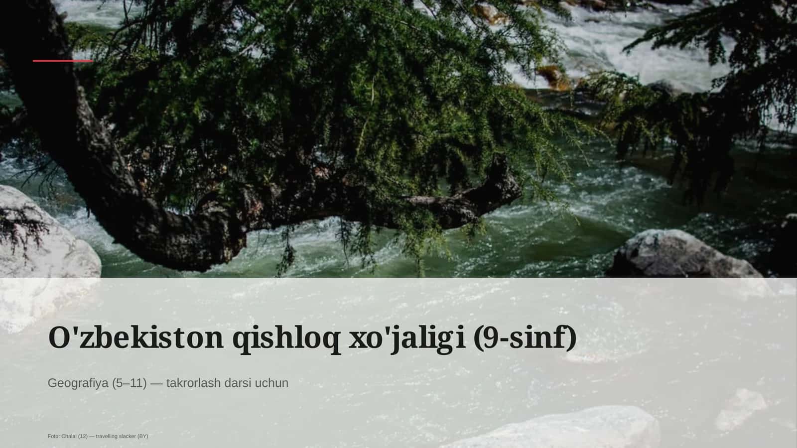 O'zbekiston qishloq xo'jaligi (9-sinf) 1