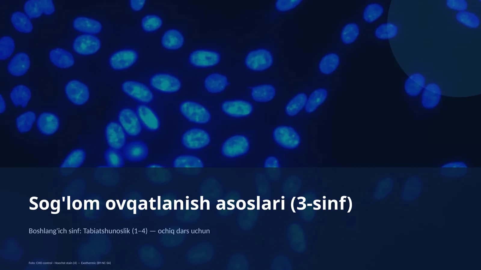 Sog'lom ovqatlanish asoslari (3-sinf) 1