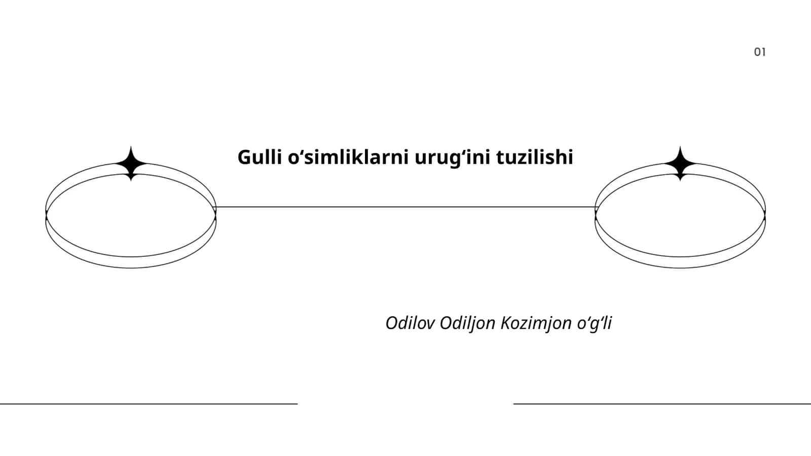 Gulli oʻsimliklarni urugʻini tuzilishi 1