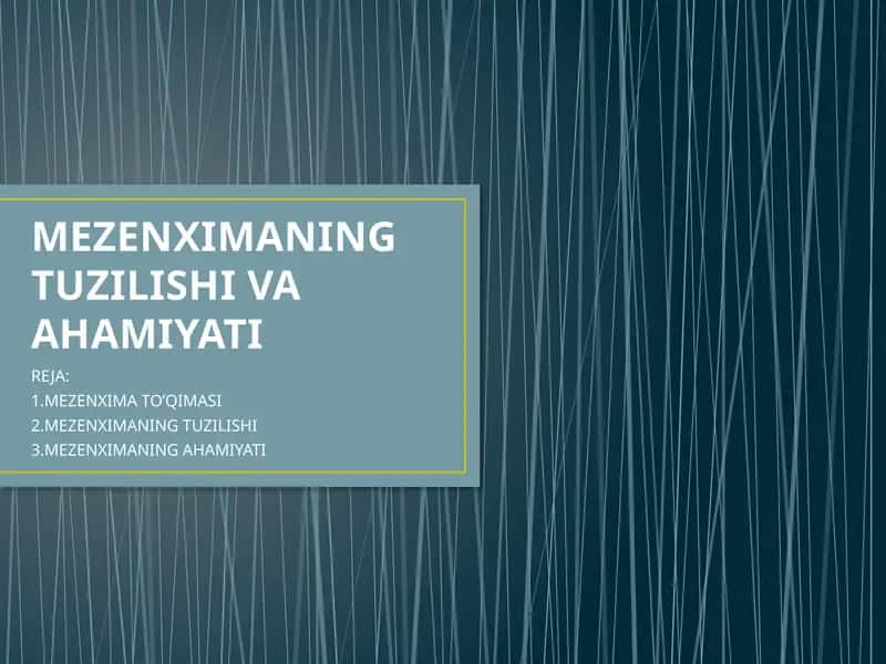 Mezenximaning Tuzilishi va Ahmiyat 1