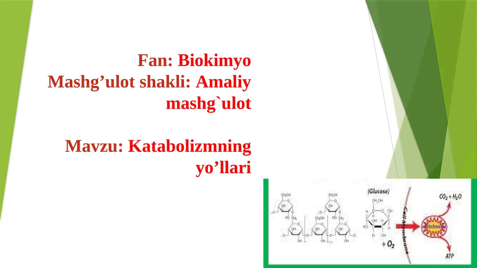 Katabolizmning yo'llari 1