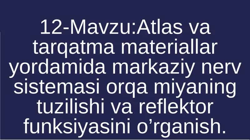 Atlas vatarqatmamateriallaryordamidamarkaziynervsistemasiorqamiyaningtuzilishivareflektorfunksiyasinio’rganish 1