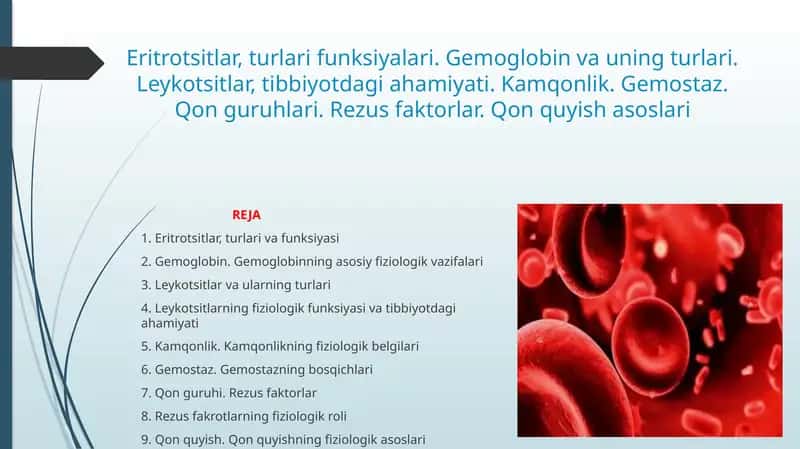Eritrotsitlar, turlari funksiyalari. Gemoglobin va uning turlari. Leykotsitlar, tibbiyotdagi ahamiyati. Kamqonlik. Gemostaz. Qon guruhlari. Rezus faktorlar. Qon quyish asoslari 1
