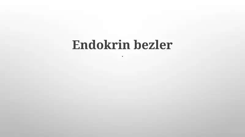 Endokrin bezler 1
