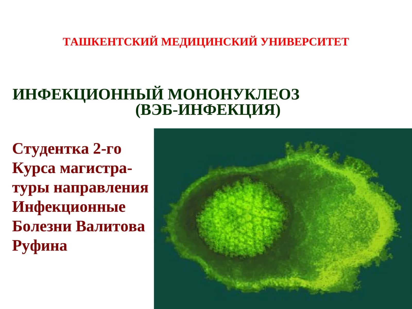 ИНФЕКЦИОННЫЙ МОНОНУКЛЕОЗ (ВЭБ-ИНФЕКЦИЯ) 1