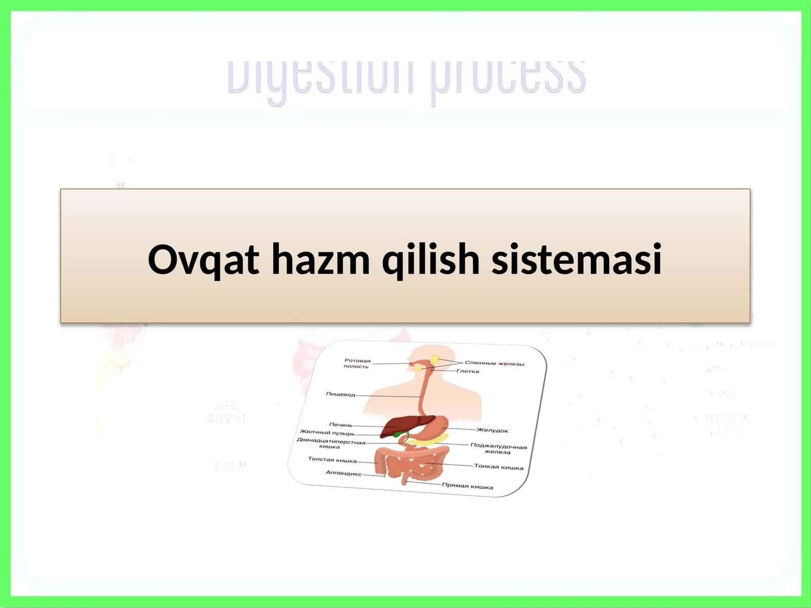 Ovqat hazm qilish tizimi 1