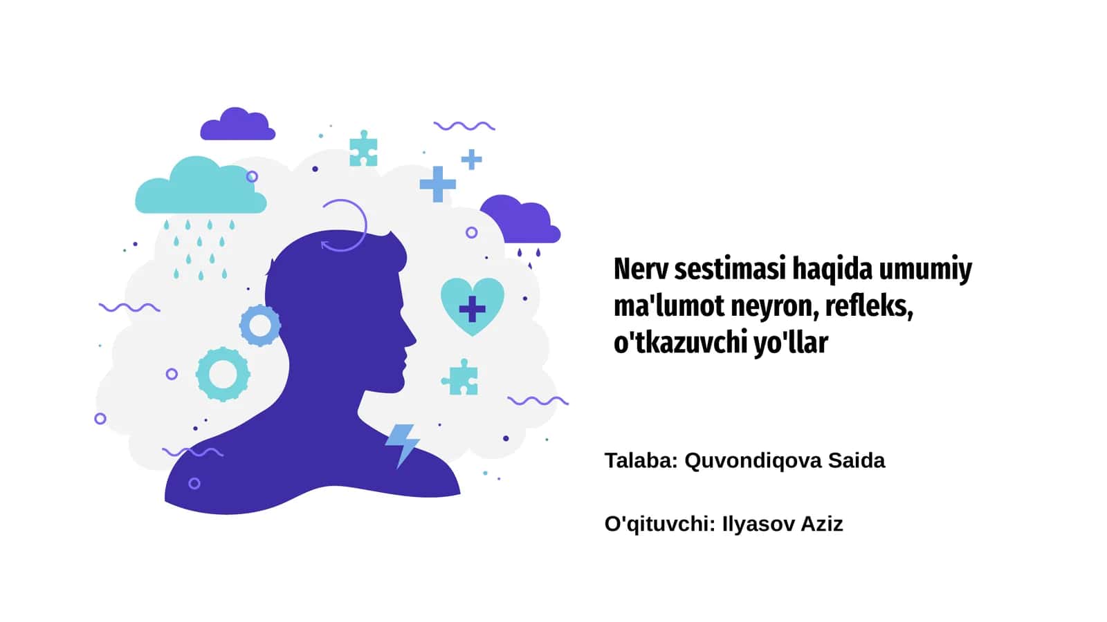 Nerv Sistemasi haqida umumiy ma'lumot 1