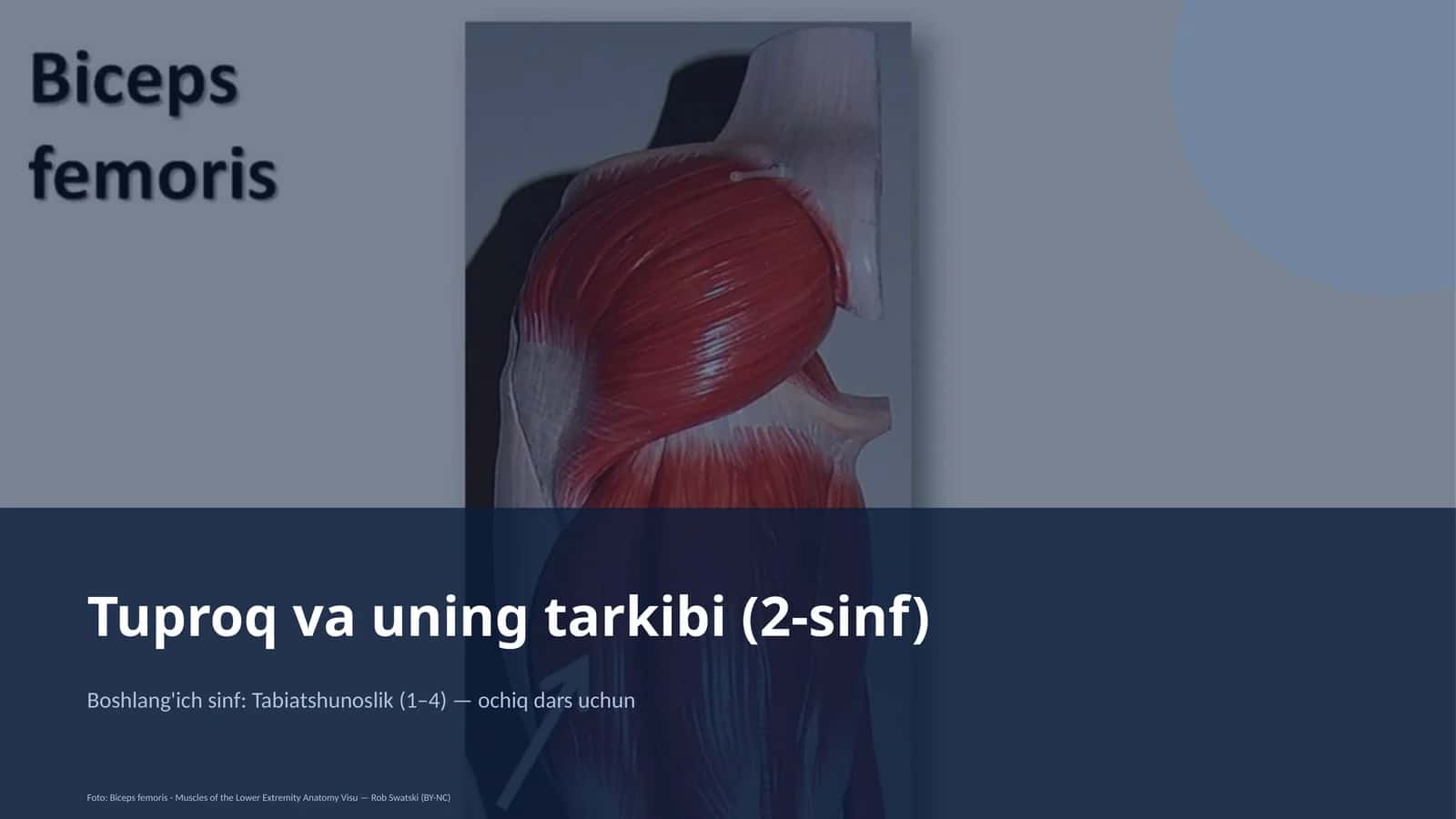 Troq va uning tarkibi (2-sinf) 1