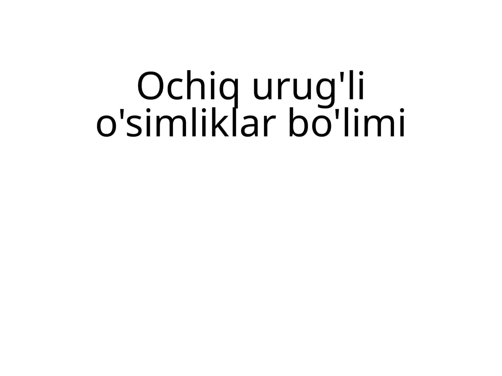 Ochiq urug'li o'simliklar 1