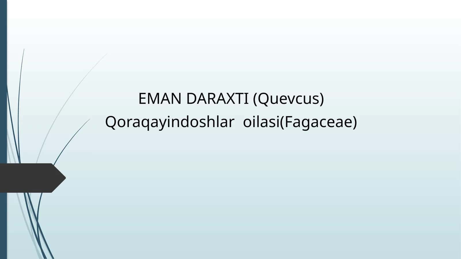 EMAN DARAXTI(Quevcus) 1