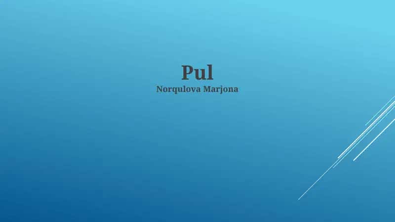 Pul Tizimlari 1
