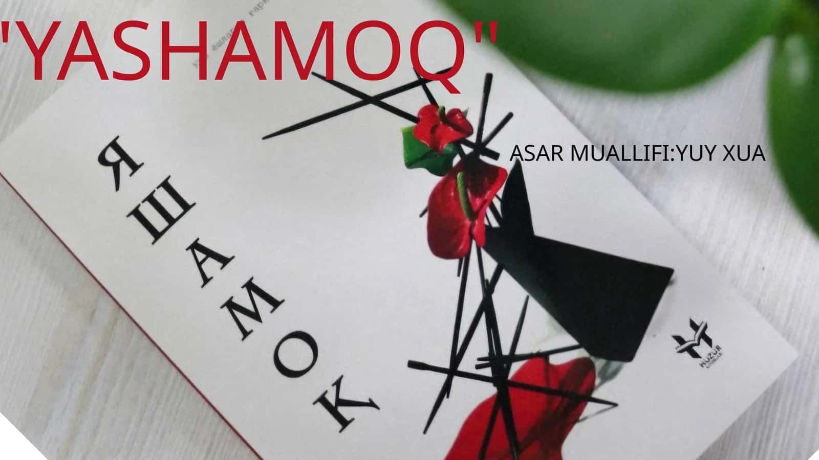 YASHAMOQ 1
