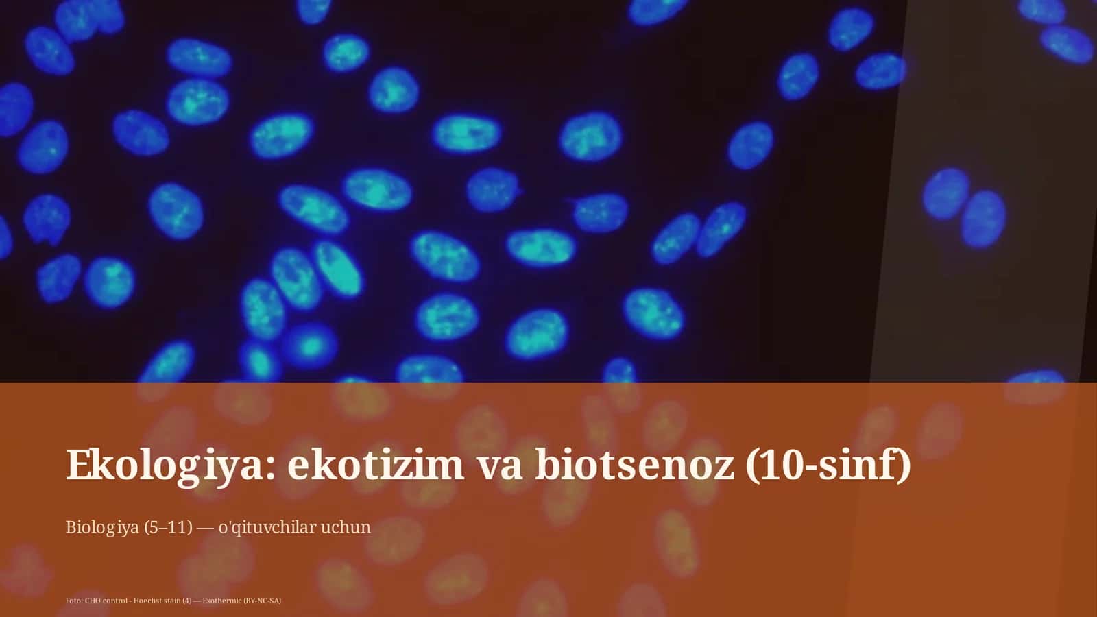 Ekologiya: ekotizim va biotsenoz (10-sinf) 1