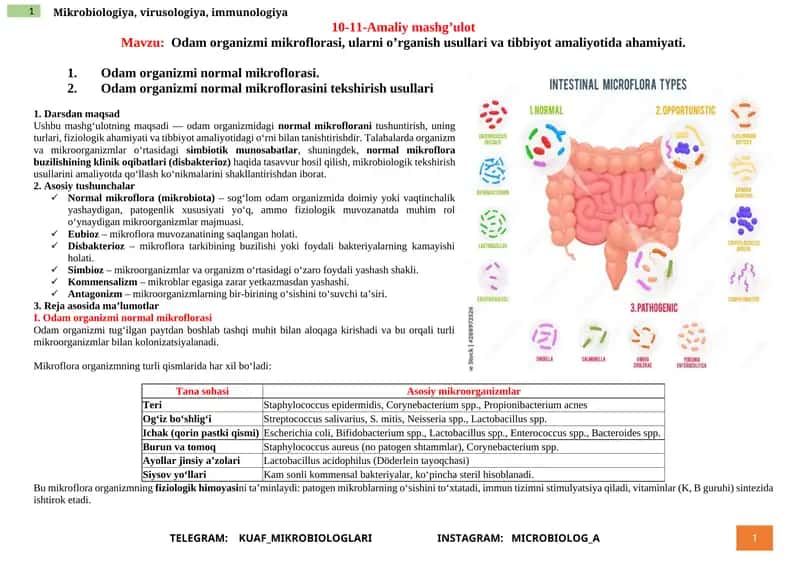Mikrobiologiya, virusologiya, immunologiya 1