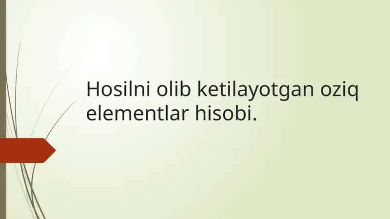Oziq elementlar hisobi 1
