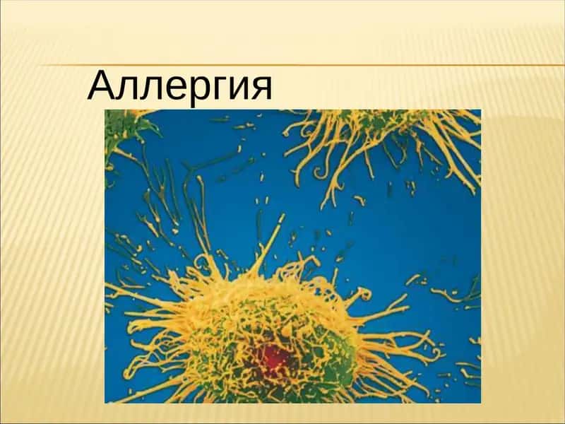 Аллергия 1