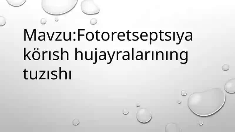 Fotoretseptsıya körısh hujayralarınıng tuzıshı 1