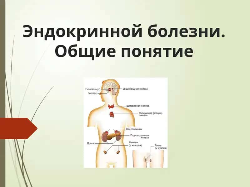 Эндокринной болезни 1