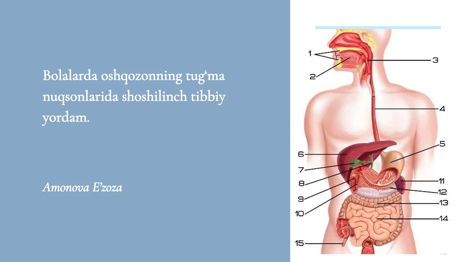 Bolalarda oshqozonning tug‘ma nuqsonlarida shoshilinch tibbiy yordam 1