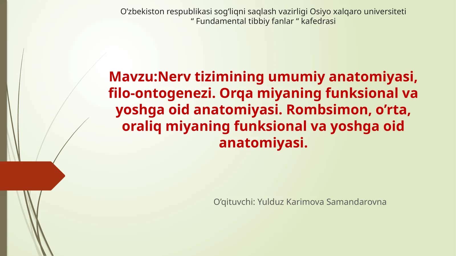 Nerv tizimining umumiy anatomiyasi, filo-ontogenezi. Orqa miyaning funksional va yoshga oid anatomiyasi. Rombsimon, o’rta, oraliq miyaning funksional va yoshga oid anatomiyasi 1