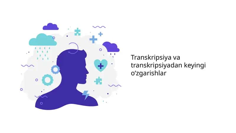 Transkripsiya va transkripsiyadan keyingi o‘zgarishlar 1