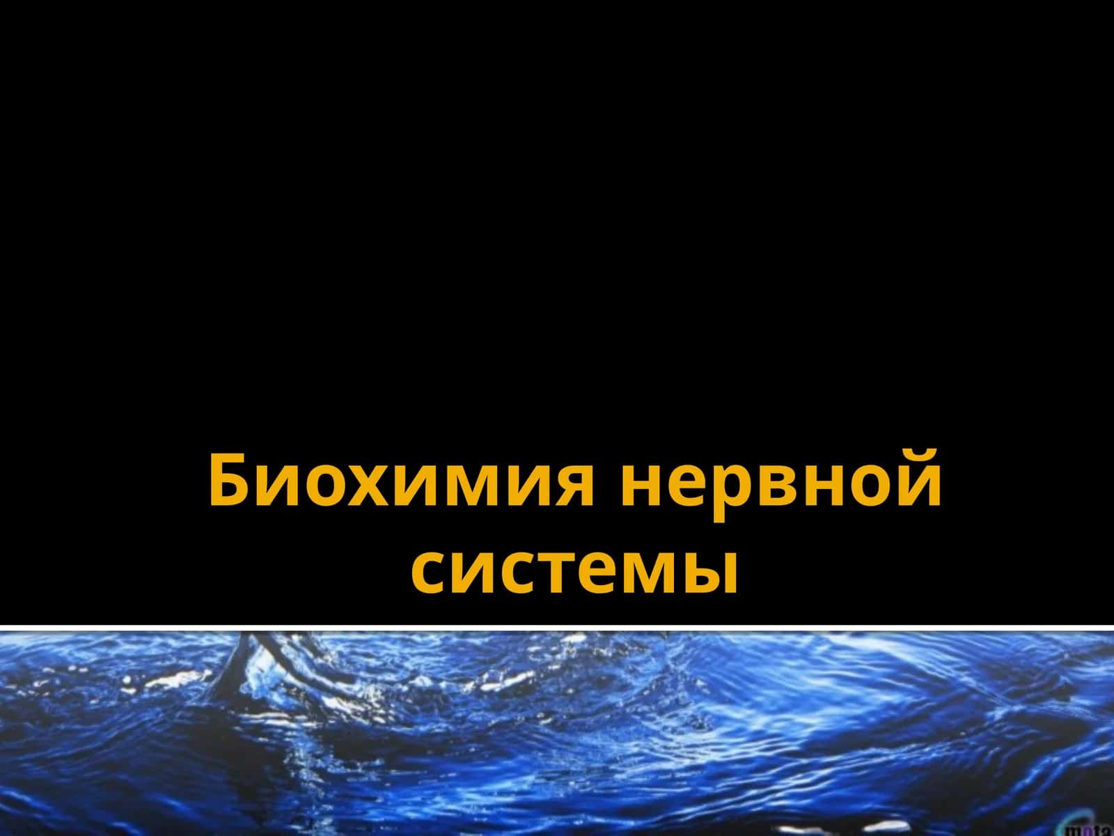 Биохимия нервной системы 1