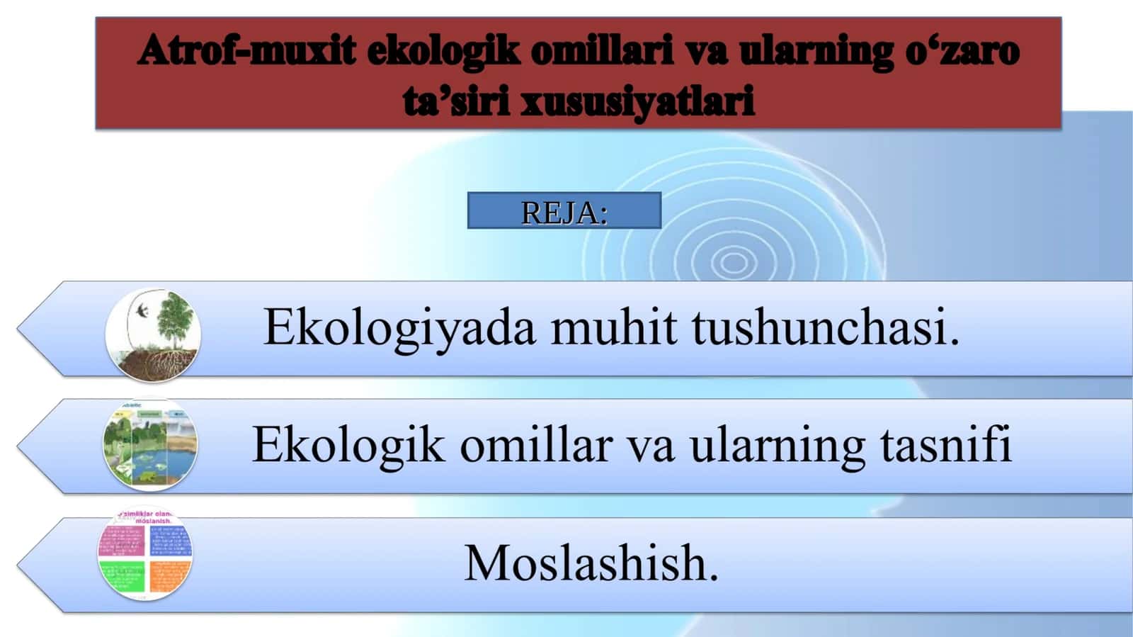 Ekologik muhit 1